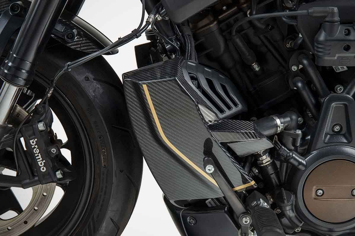 ZARD Radiator Covers + Rear Side Panel "120Th" Harley Davidson Sportster S 2021-2024 - Adventure Parts