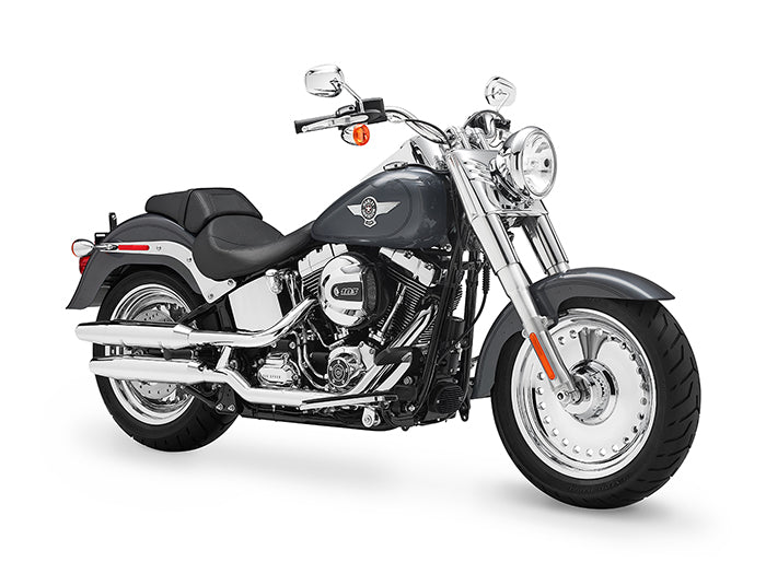 EJK Tuning Kit Fuel Controller Harley Davidson Softail 2006