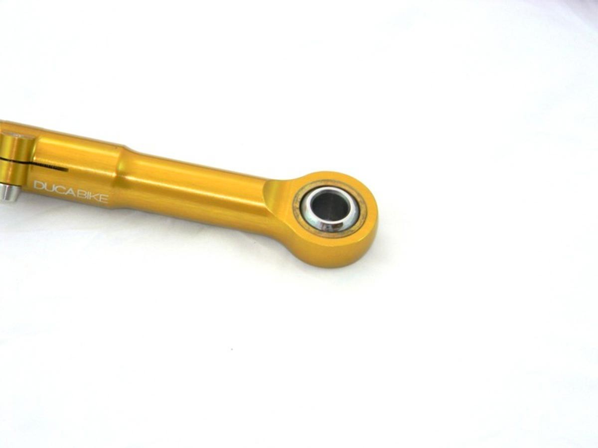 DBK Adjustable Linkage Ducati Diavel 1260 2019-2022