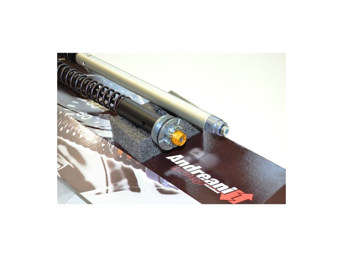 Andreani Adjustable Cartridge Kit Ducati Diavel 1200 2011-2014
