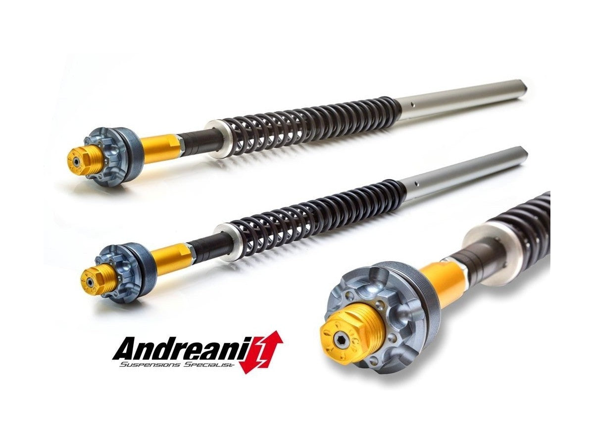 Andreani Adjustable Cartridge Kit Ducati Diavel 1200 2011-2014