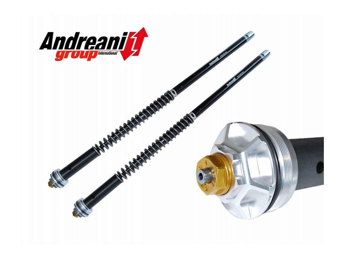 Andreani Adjustable Cartridge Kit BMW RnineT Scrambler - Urban/GS 2017-2024
