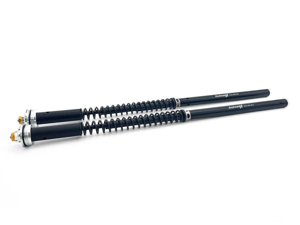 Andreani Cartridge Adjustable Kit Yamaha MT-09 2015-2020