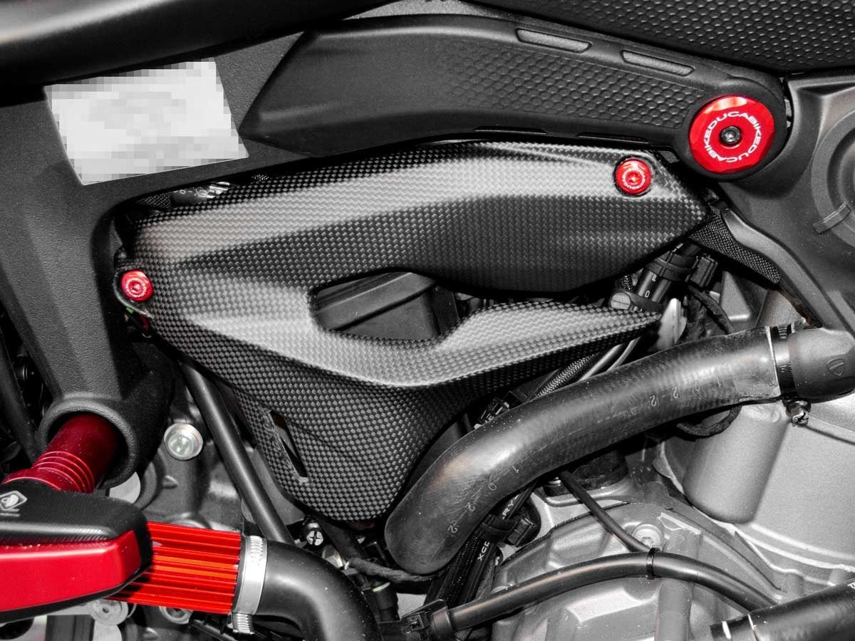 DBK Carbon Side Cover Ducati Monster 2021-2025 - Adventure Parts