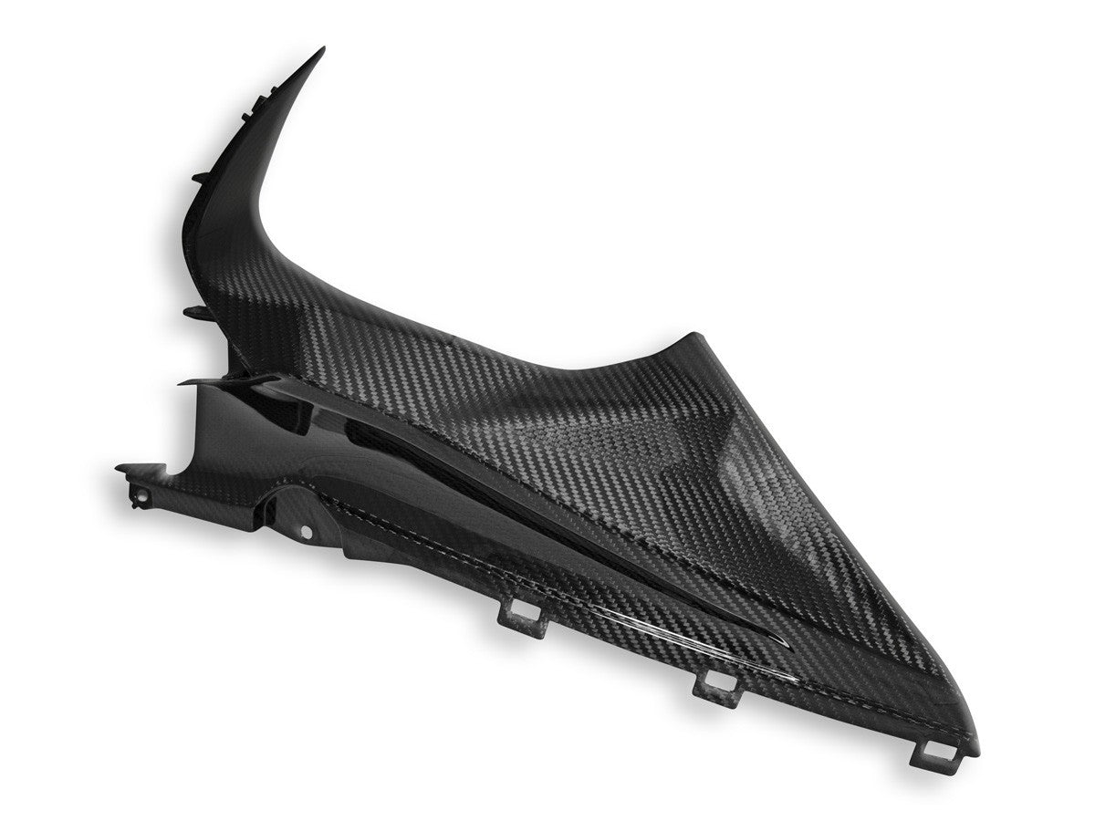 DBK Carbon Infil Panel Glossy BMW S1000 RR 2019-2024 - Adventure Parts
