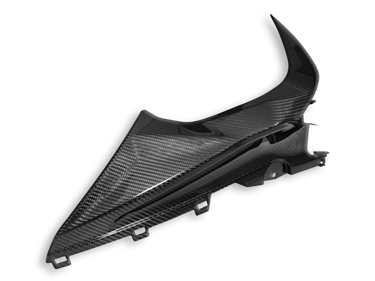 DBK Carbon Infil Panel Glossy BMW S1000 RR 2019-2024 - Adventure Parts