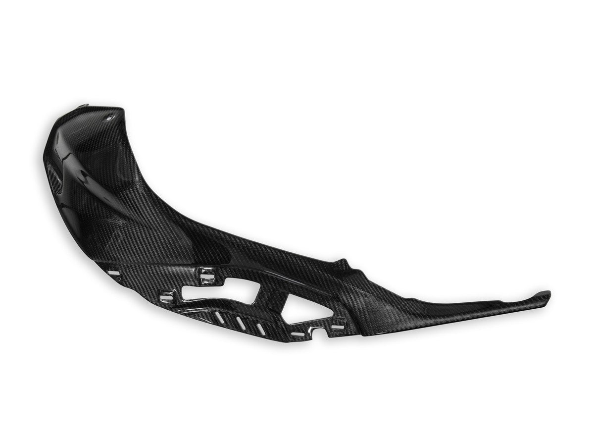 DBK Carbon Tank Cover Polished BMW S1000 R 2021-2025 - Adventure Parts