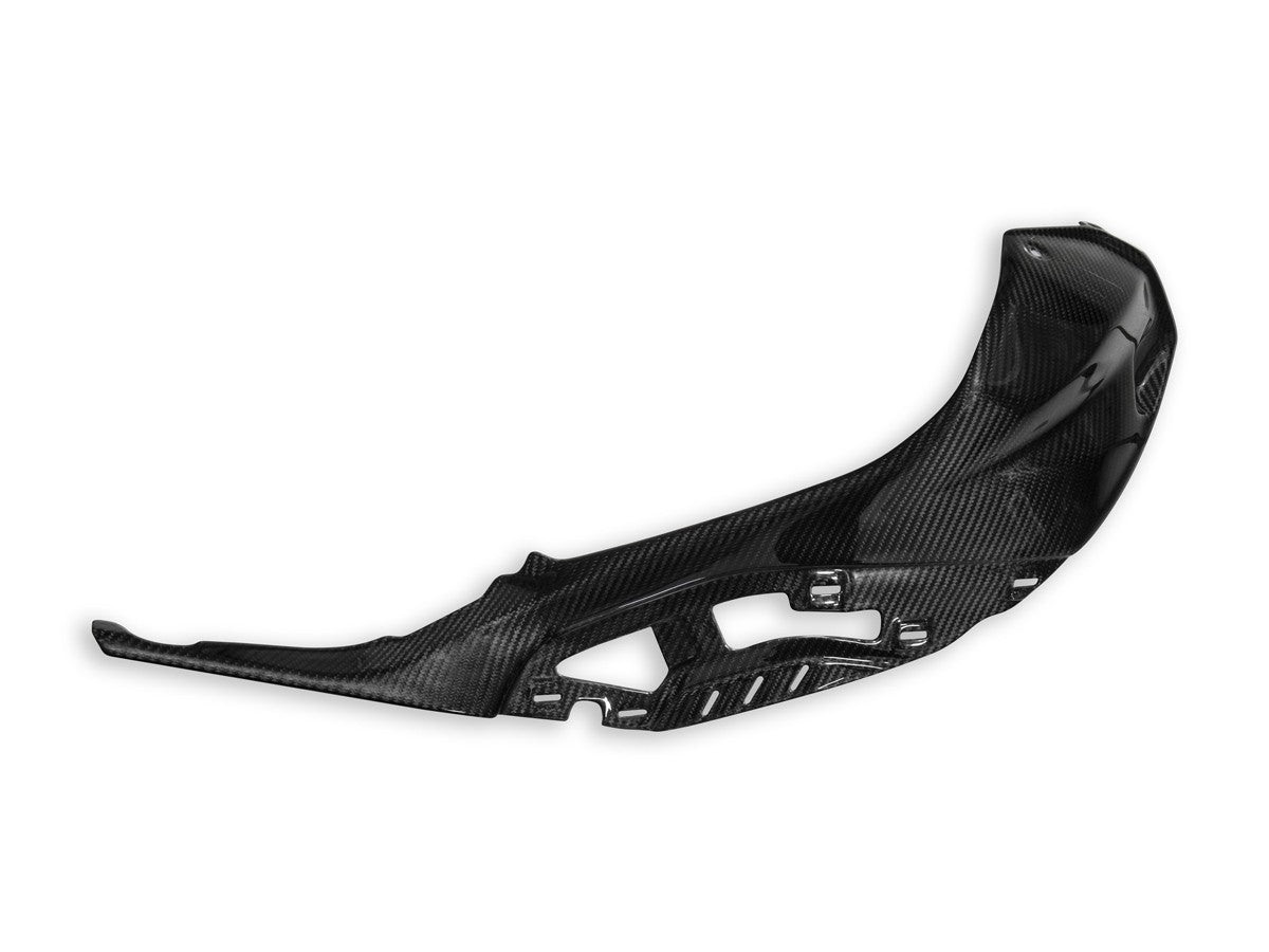 DBK Carbon Tank Cover Polished BMW S1000 R 2021-2025 - Adventure Parts