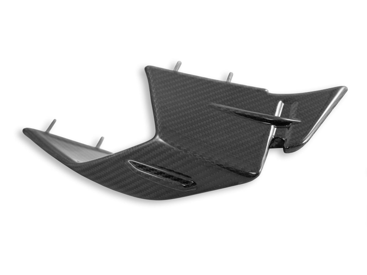 DBK Carbon Winglets Glossy BMW S1000RR 2023-2024