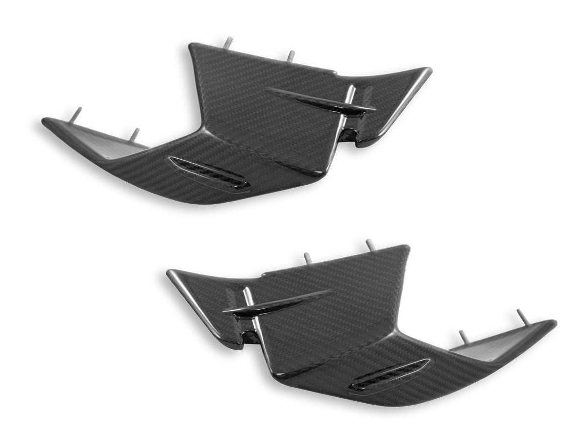 DBK Carbon Winglets Glossy BMW S1000RR 2023-2024