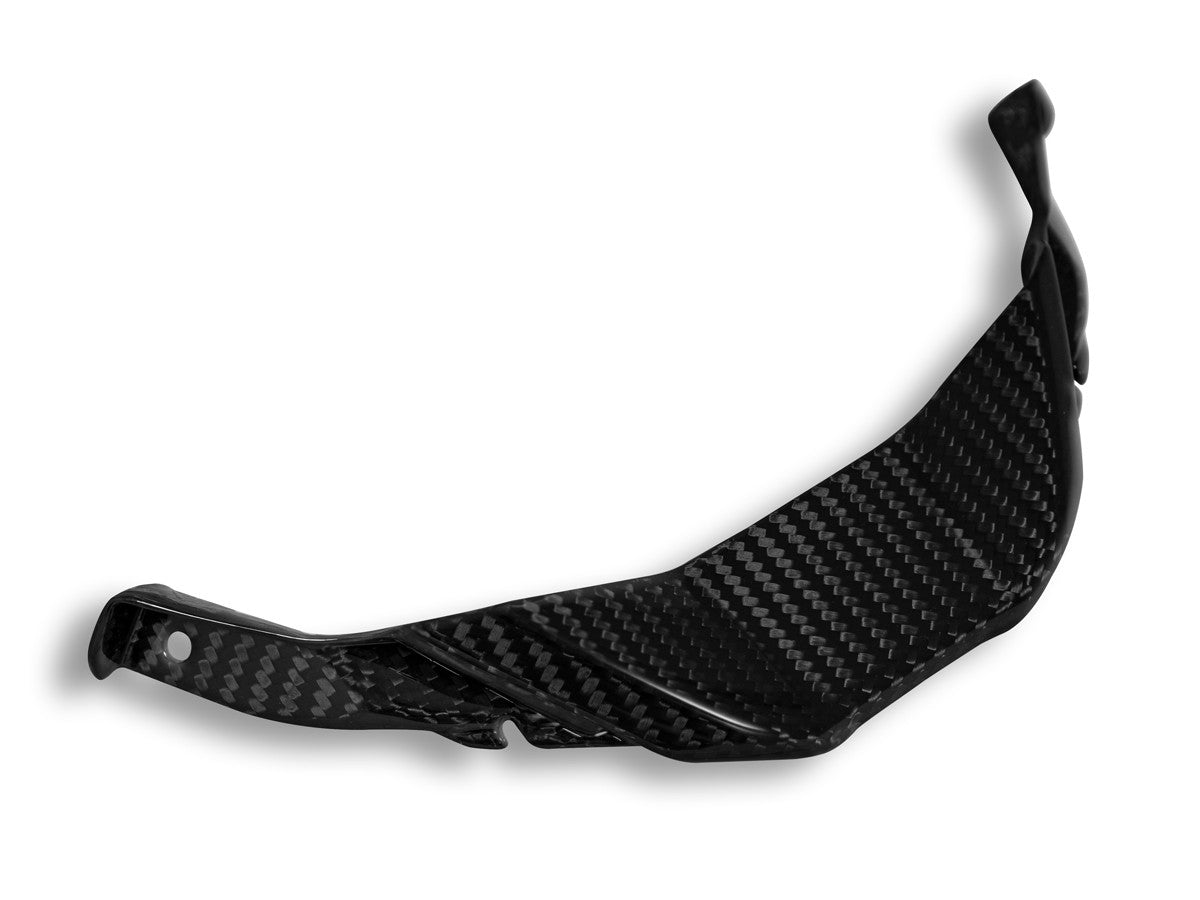 DBK Carbon Front Lip Glossy BMW S1000RR 2023-2024 - Adventure Parts