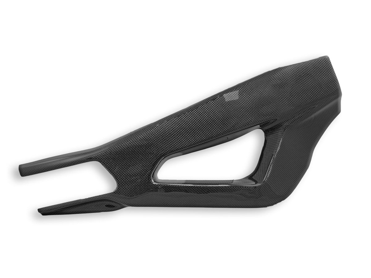 DBK Carbon Swingarm Covers Glossy BMW S1000R 2019-2025 - Adventure Parts