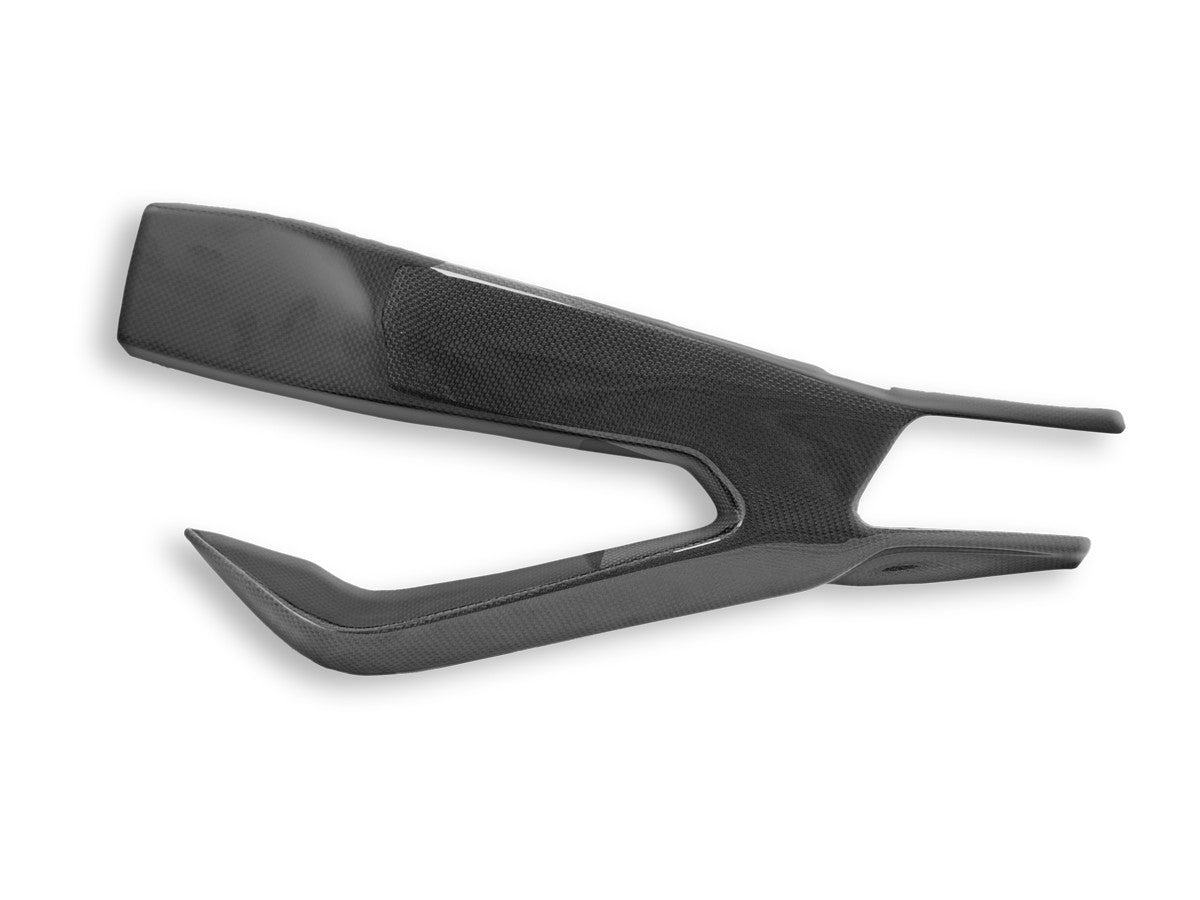 DBK Carbon Swingarm Covers Glossy BMW S1000R 2019-2025 - Adventure Parts