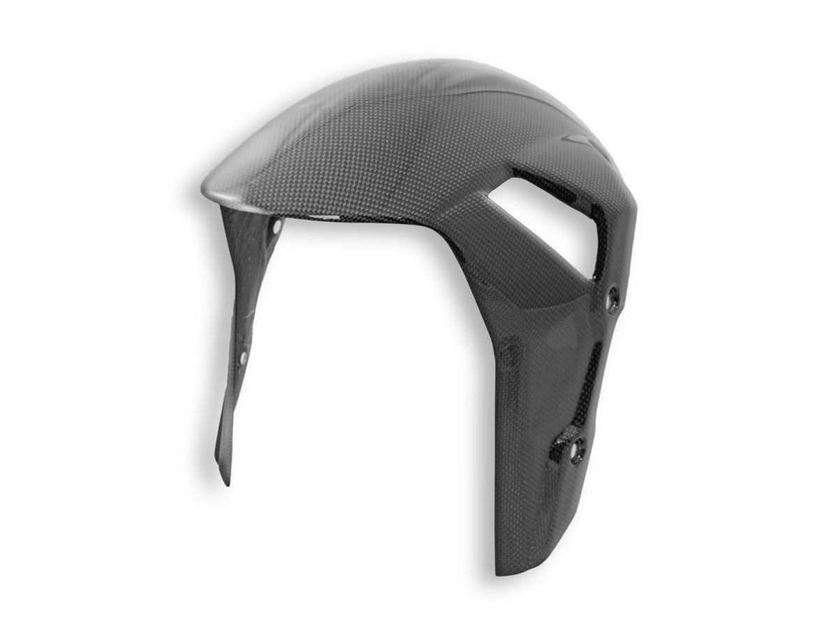 DBK Carbon Front Fender Glossy BMW S1000R /RR 2019-2025 - Adventure Parts