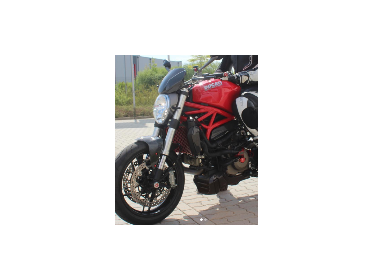 DBK Radiator Guard Ducati Diavel 1260 /S 2019-2022