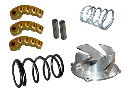 Straightline Performance Clutch Kit With Adjustable Weights 6000ft + Yamaha Mountain Max 2022-2025