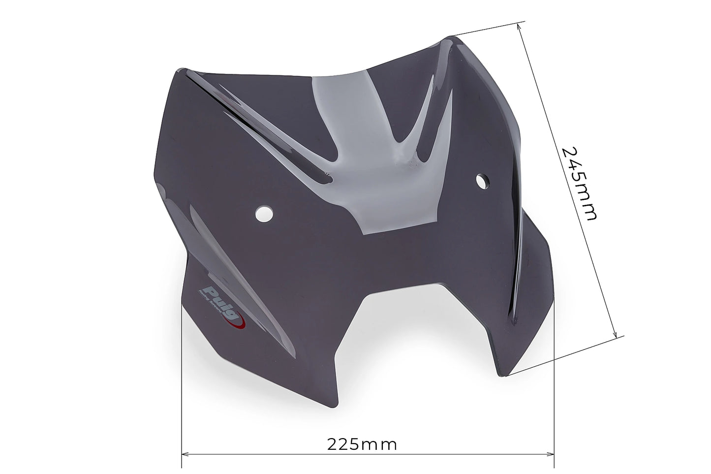 Puig New Generation Sport BMW R1300R 2025-2026