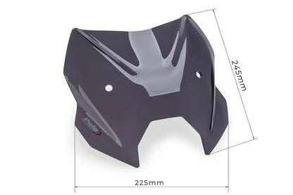 Puig New Generation Sport BMW R1300R 2025-2026