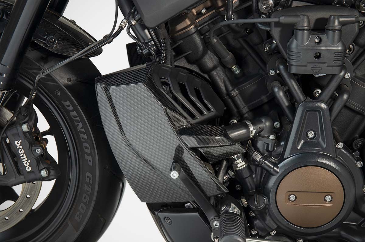 ZARD Radiator Covers + Rear Side Panel Harley Davidson Sportster S 2021-2024