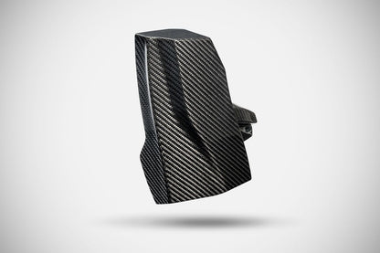 ZARD Radiator Covers + Rear Side Panel Harley Davidson Sportster S 2021-2024