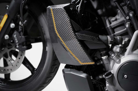 ZARD Radiator Covers And Billet Plug Cover "120Th" Harley Davidson Nightster 975 2021-2024