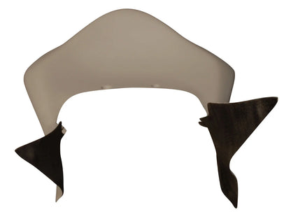 Armour Bodies SuperSport Tail Kawasaki ZX-6RR 2005-2006