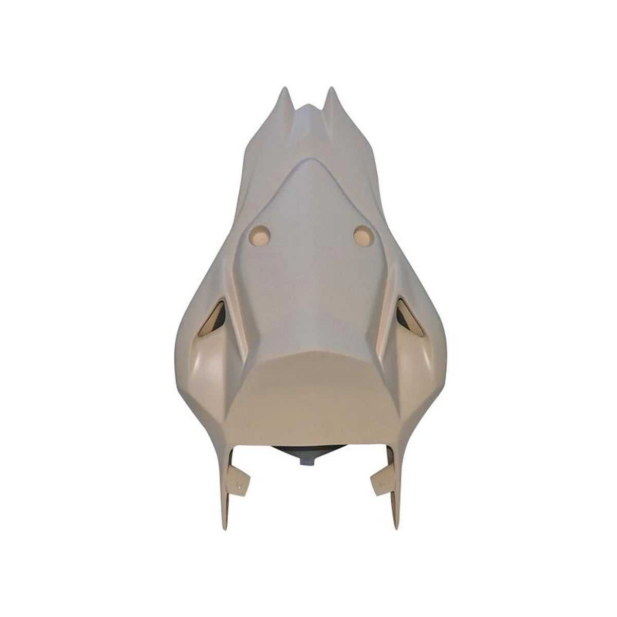 Armour Bodies SuperSport Tail BMW S1000RR 2011-2014