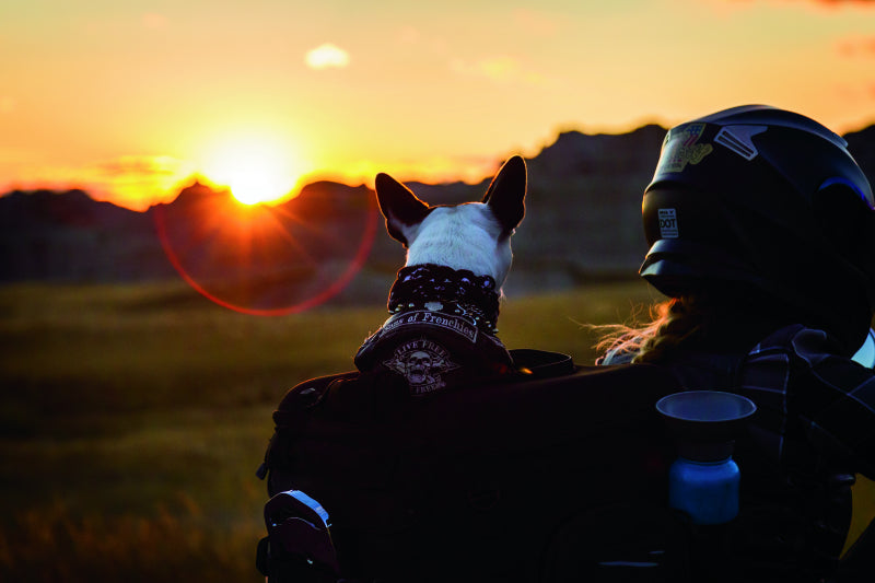 Kuryakyn Pet Palaces Motorcycle Bag - Adventure Parts