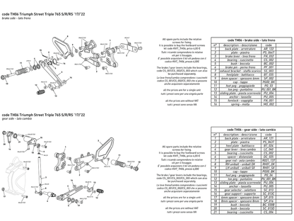 Bonamici Rearsets Triumph Street Triple 765 S/R/RS Moto2 2018-2022