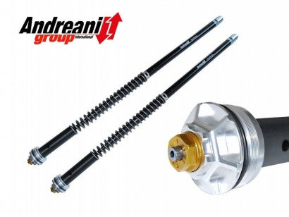 Andreani Cartridge Adjustable Kit Aprilia RS 660 2020-2024