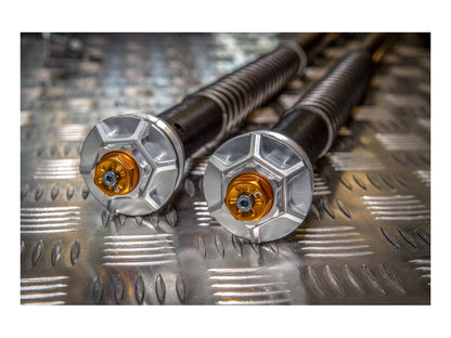 Andreani Adjustable Cartridge Kit High Version BMW RnineT Scrambler - Urban/GS 2017-2024 - Adventure Parts