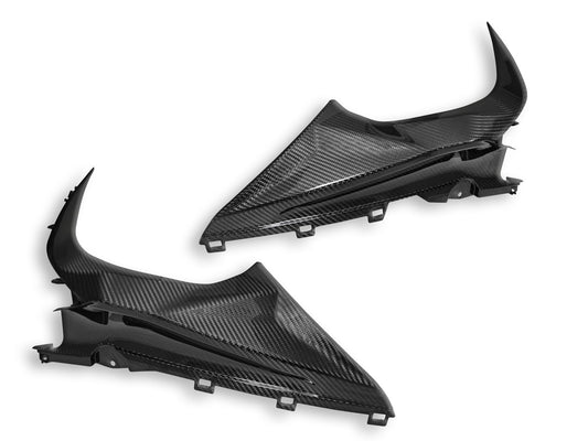 DBK Carbon Infil Panel Glossy BMW S1000 RR 2019-2024 - Adventure Parts