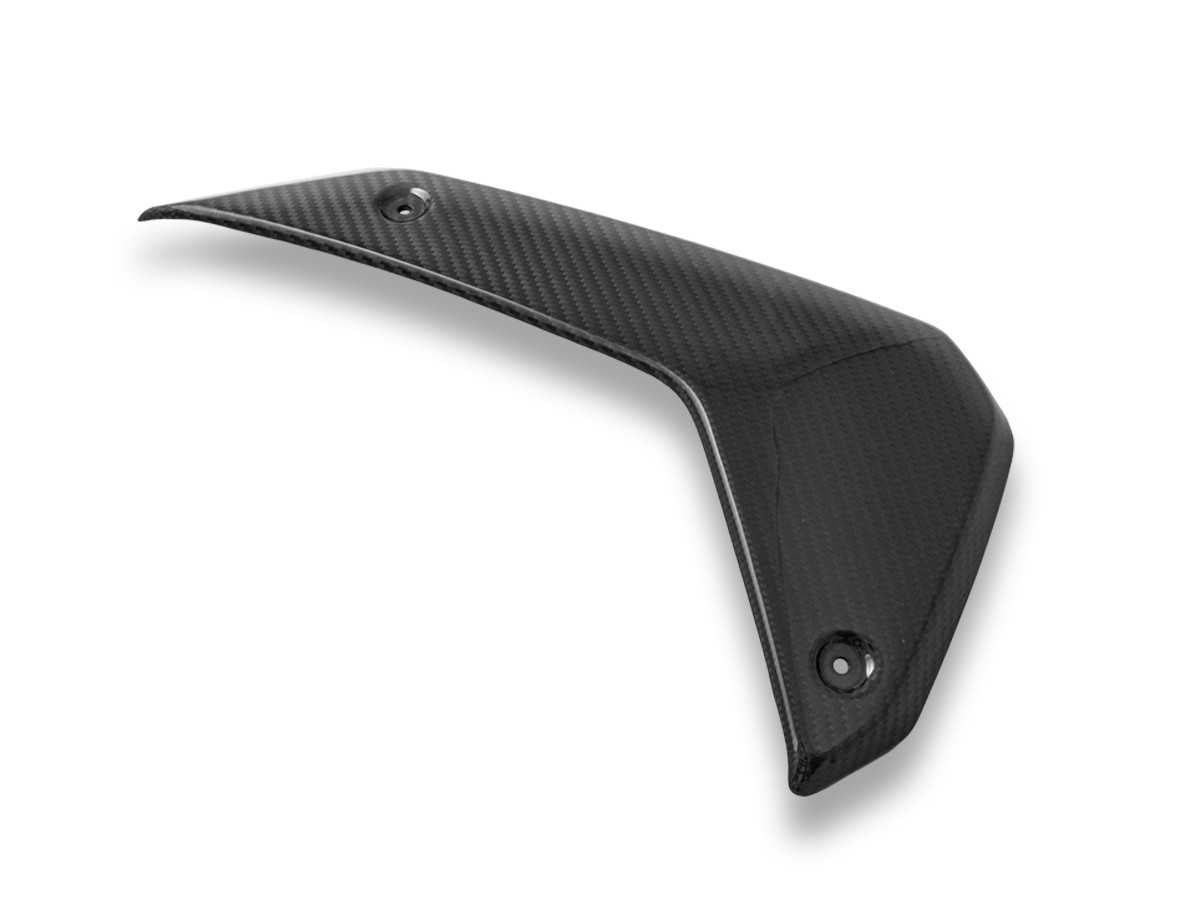 DBK Panels Carbon Side Glossy  BMW R1300GS 2024-2025