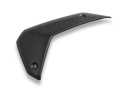 DBK Panels Carbon Side Glossy  BMW R1300GS 2024-2025