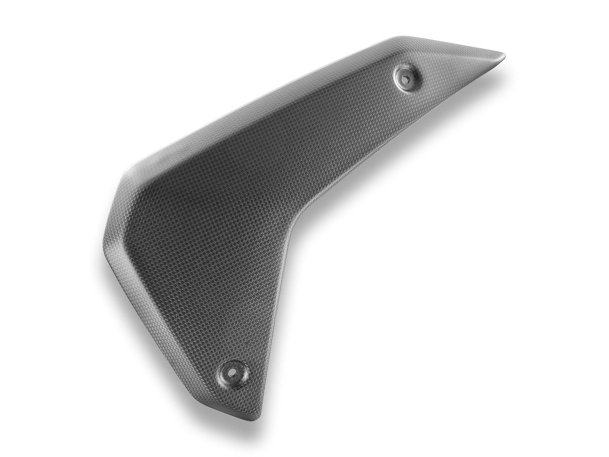 DBK Panels Carbon Side Matt  BMW R1300GS 2024-2025