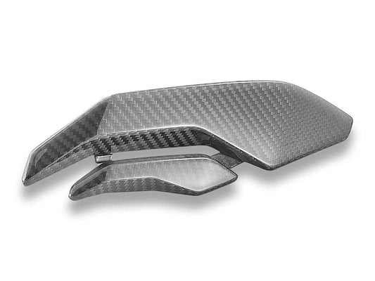 DBK Panel Infill Carbon Side Glossy BMW S1000RR 2023-2024 - Adventure Parts