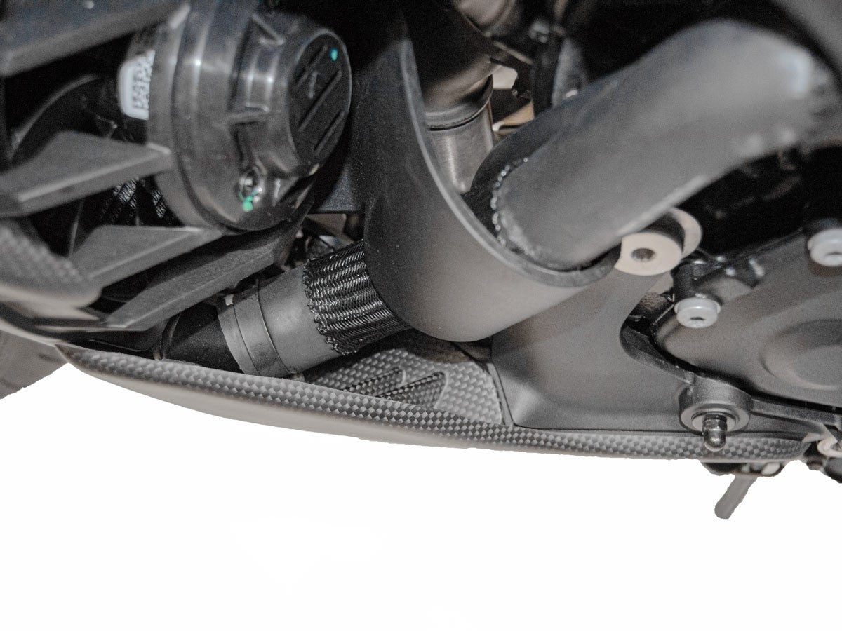 DBK Carbon Side Support Matte Ducati Diavel V4 2023-2025