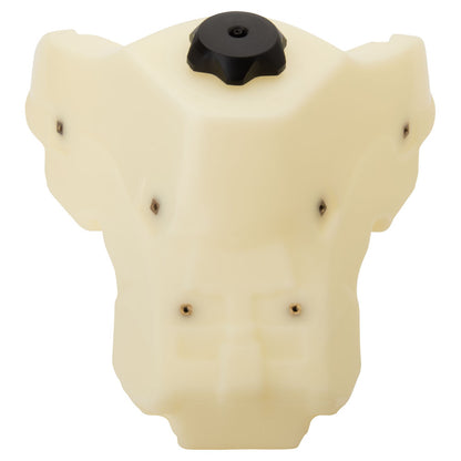 IMS Fuel Tank Honda CRF250RX 2021–2026