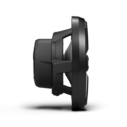Rockford Fosgate M2 10" DVC 2Ω Color Optix™ Infinite Baffle Marine Subwoofer: Black Gen-2