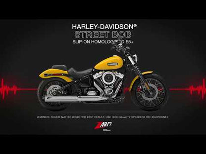 ZARD Slip-On Exhaust Harley-Davidson Street Bob 2025