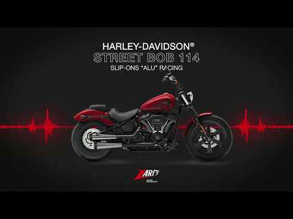 ZARD Slip-Ons "Alu" Exhaust Harley Davidson Street Bob 114 2017-2024