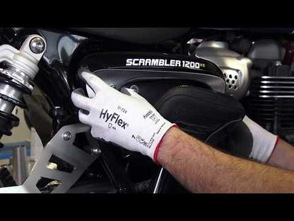 ZARD Exhaust Full Kit Triumph Scrambler 1200 2019-2020