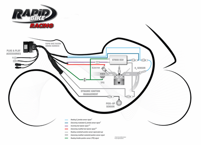 Rapid Bike Racing Tuning Kit Aprilia Tuono 660 2021-2024