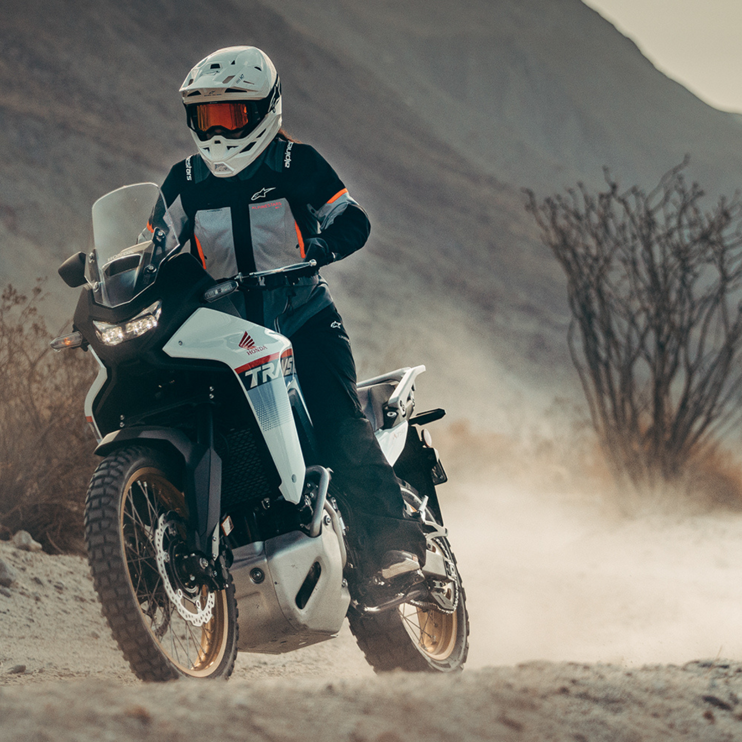 Alpinestars Stella Andes V4 Drystar Motorcycle Jacket